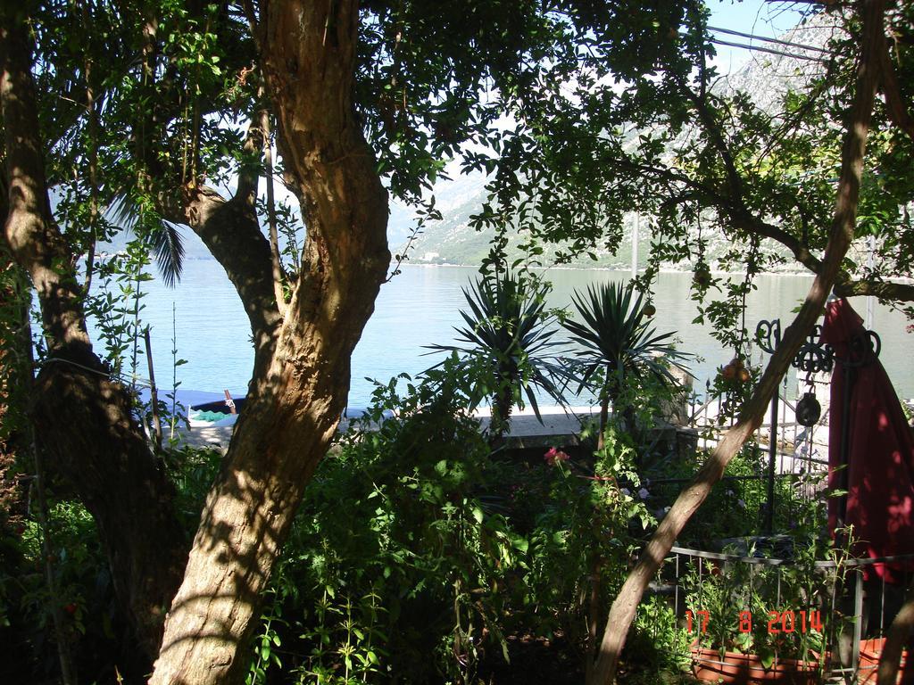 Apartment Radimiri Kotor Chambre photo